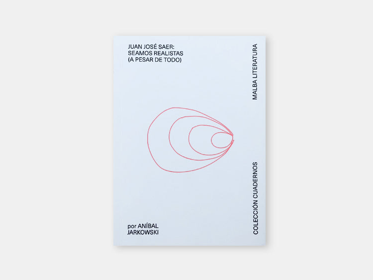 Juan José Saer Notebooks Collection: Let's be realistic (despite everything)_By Aníbal Jarkowski