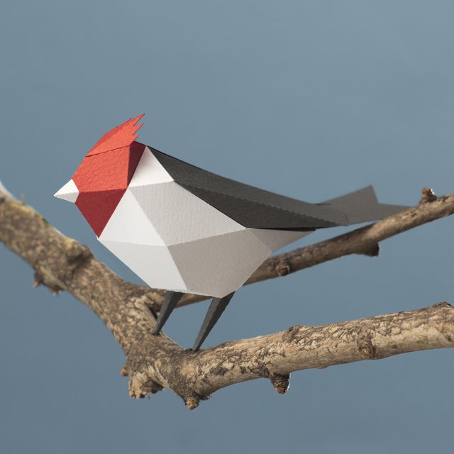 Cardinal Ranger for Armar