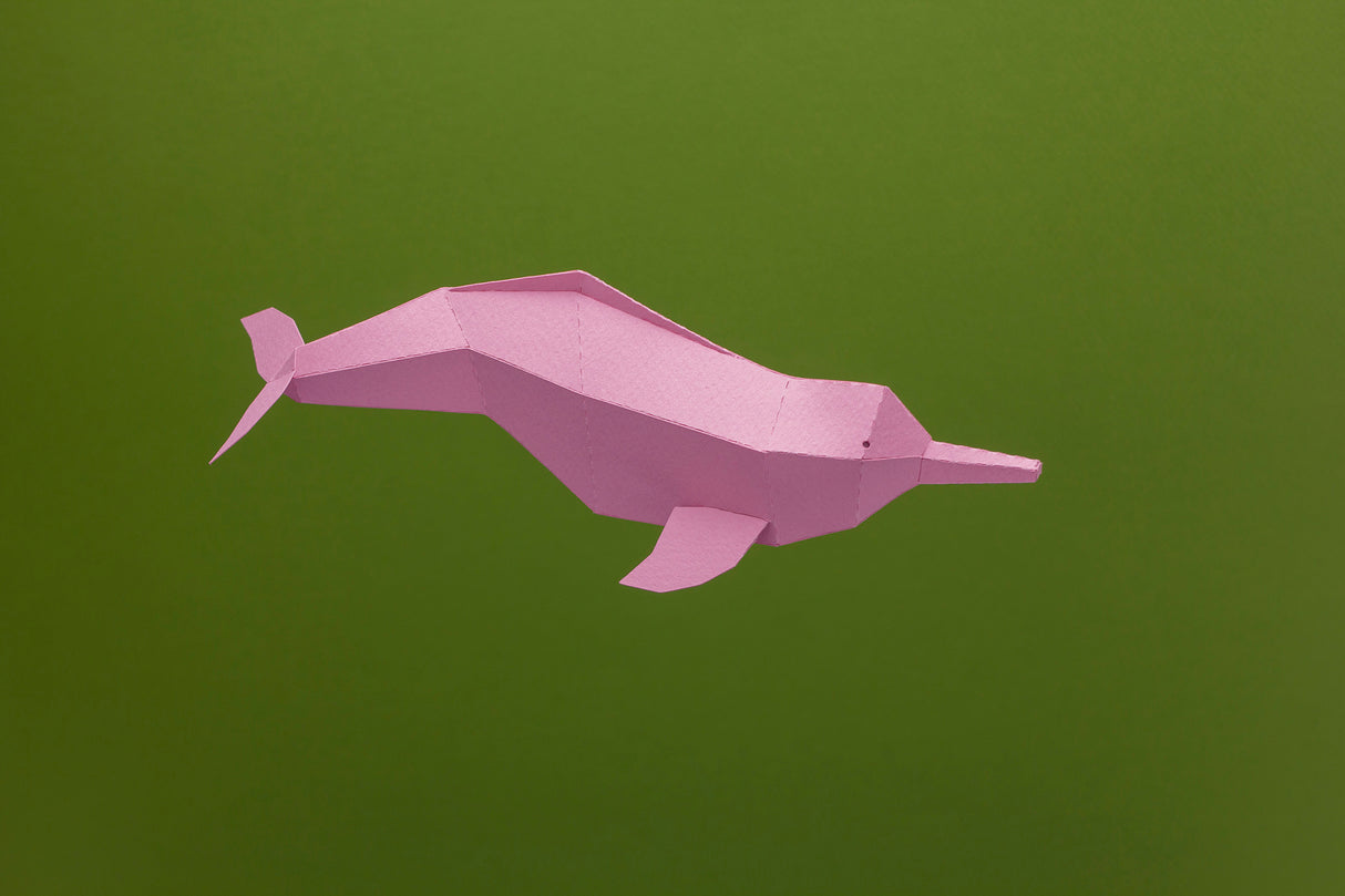 Amazon Dolphin Ranger