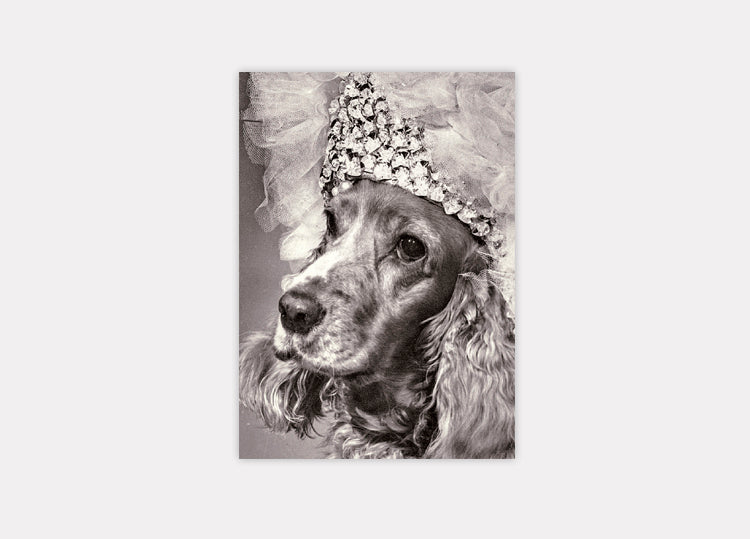 Cartão Postal Temporada de Esplendor Estúdio Fotográfico Luisita: Boneca (1968)