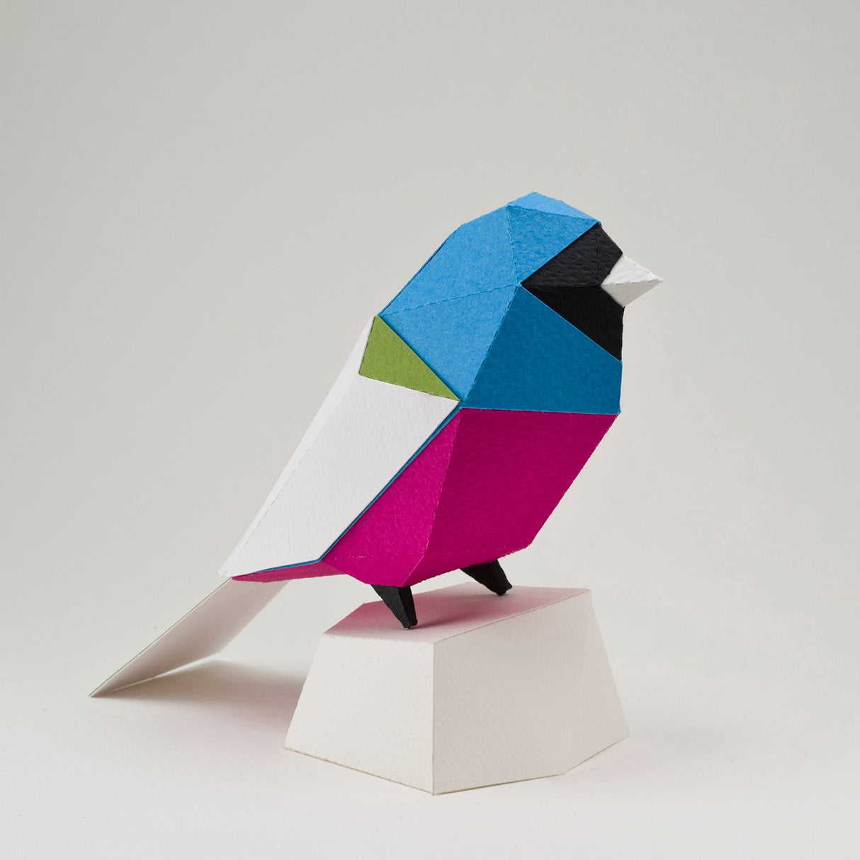 Surucua Ranger for Arming