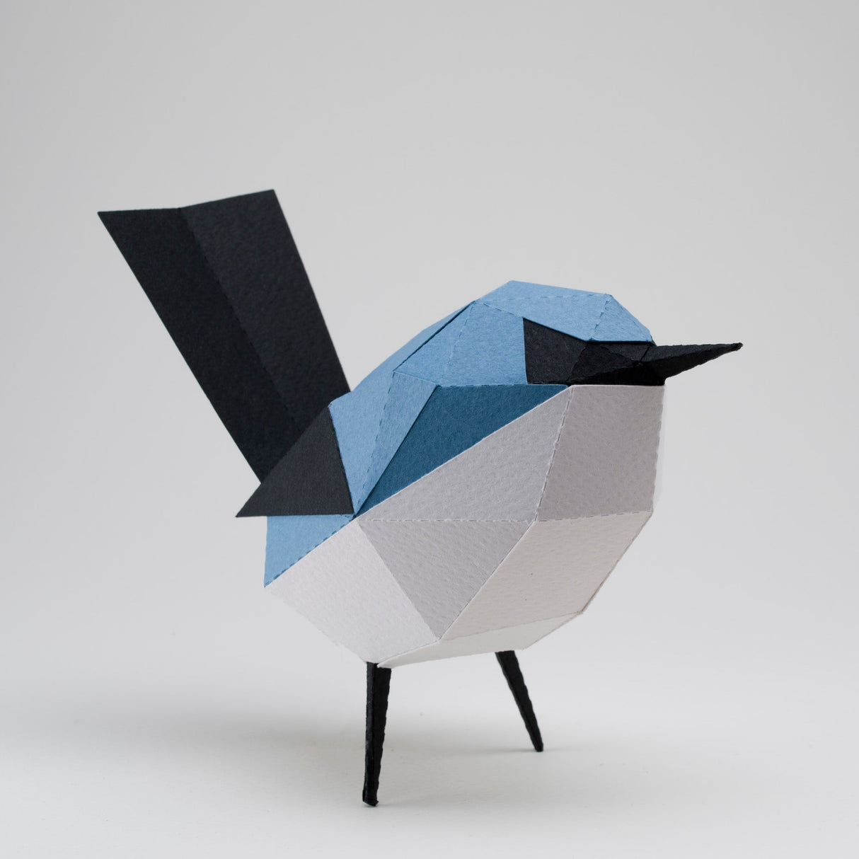 Tacuarita Ranger for Arming