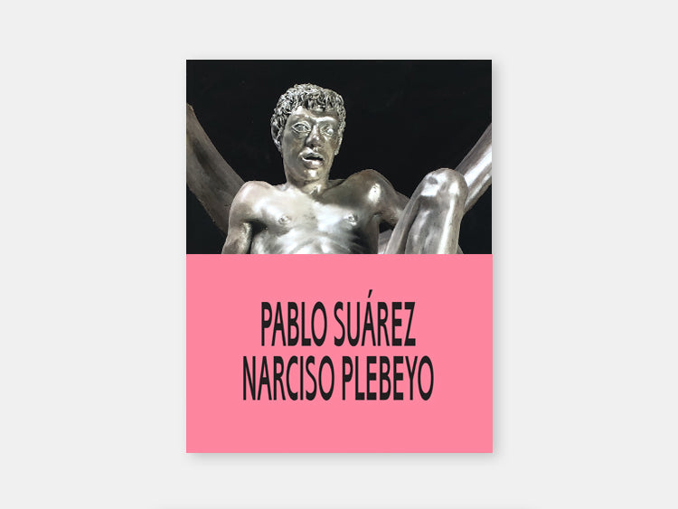 Pablo Suárez. Narciso Plebeyo