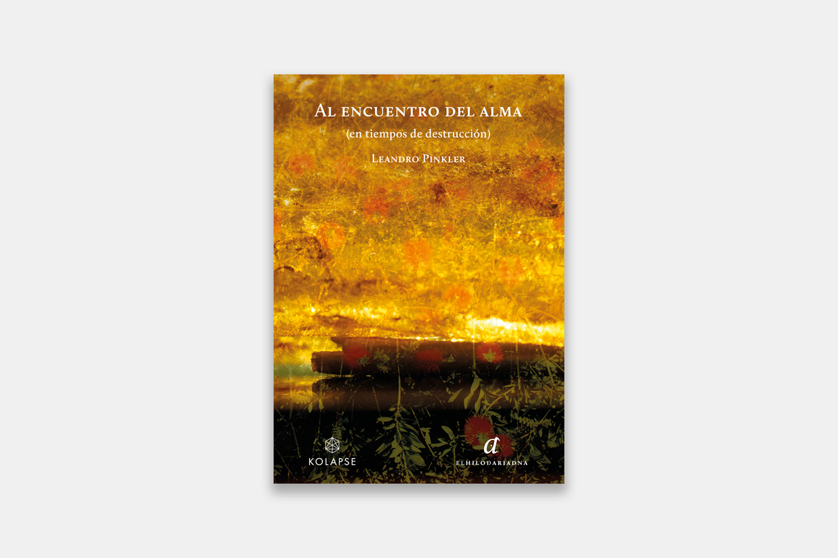 Al encuentro del alma (en tiempos de destrucción)