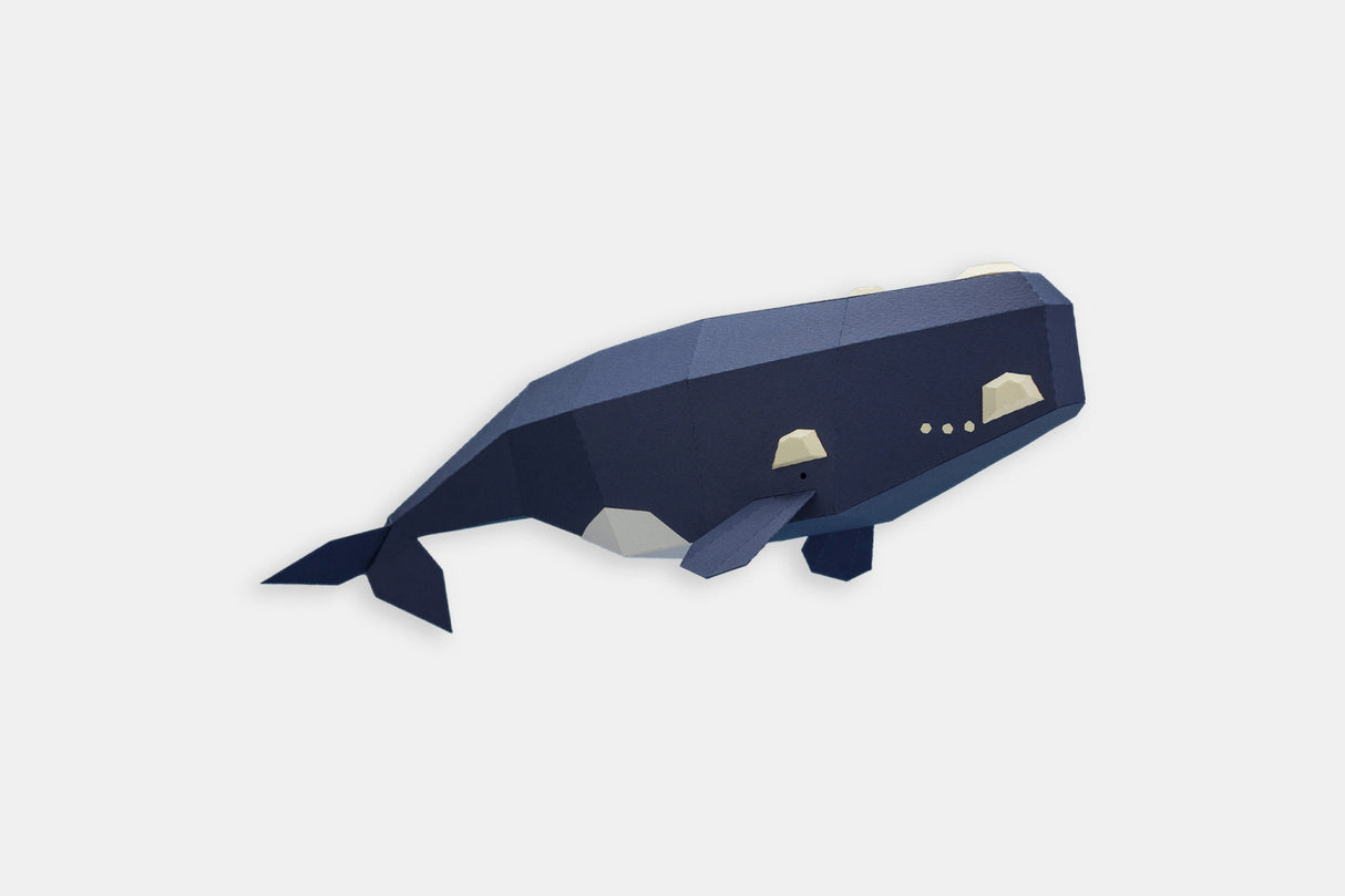 Ballena Franca Austral de papel para armar