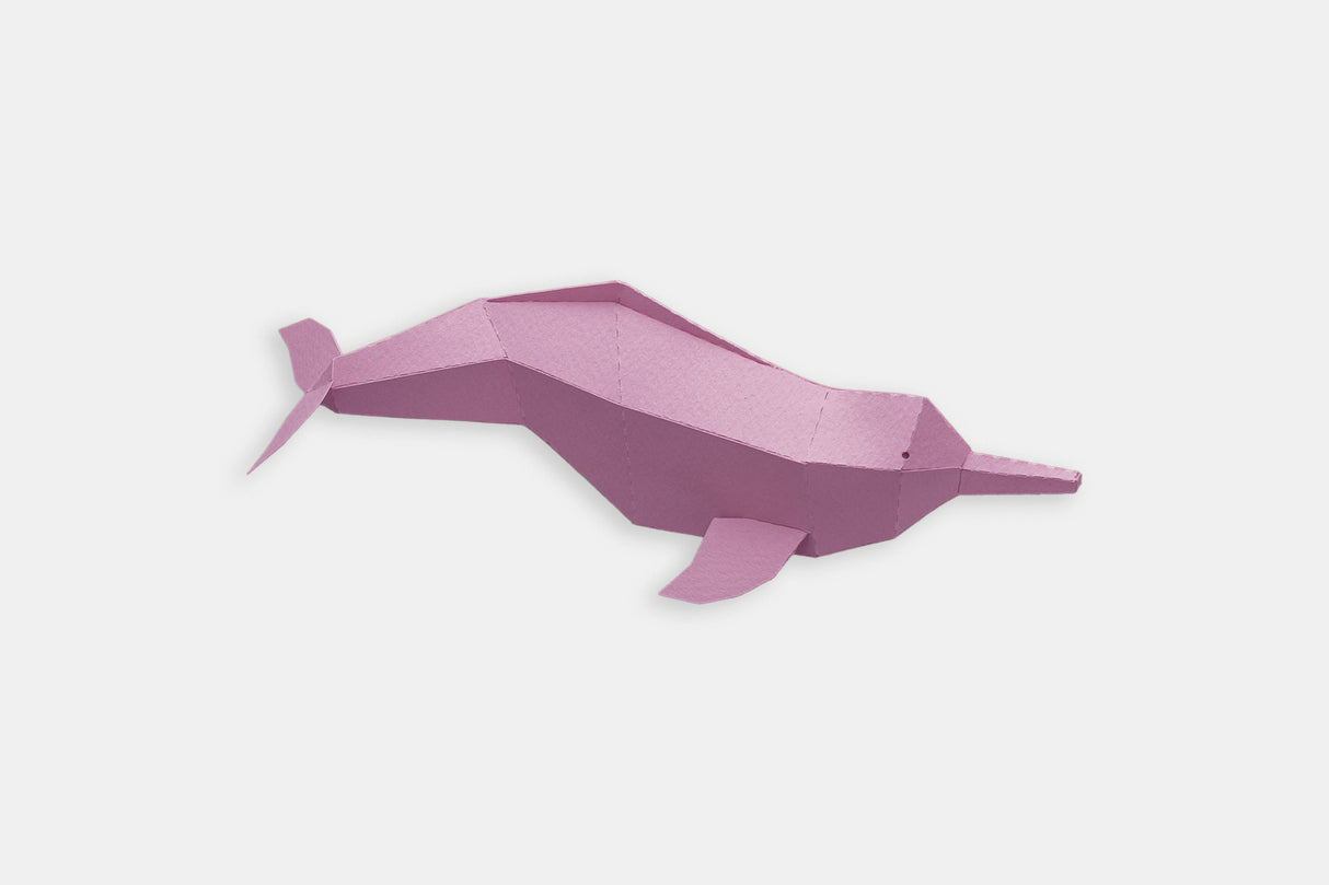 Amazonian Dolphin paper kit to assemble