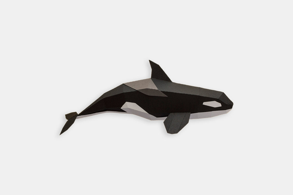 Orca Ranger