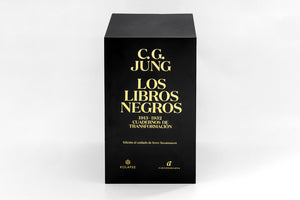 Los libros negros. Cuadernos de transformación 1913—1932
