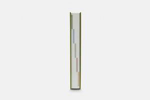 Arte Latinoamericano: Colección Malba—Costantini
