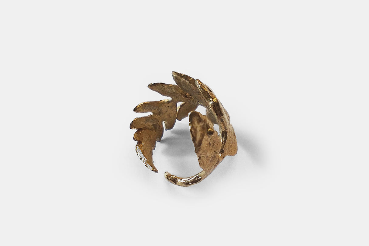 Anillo Helecho