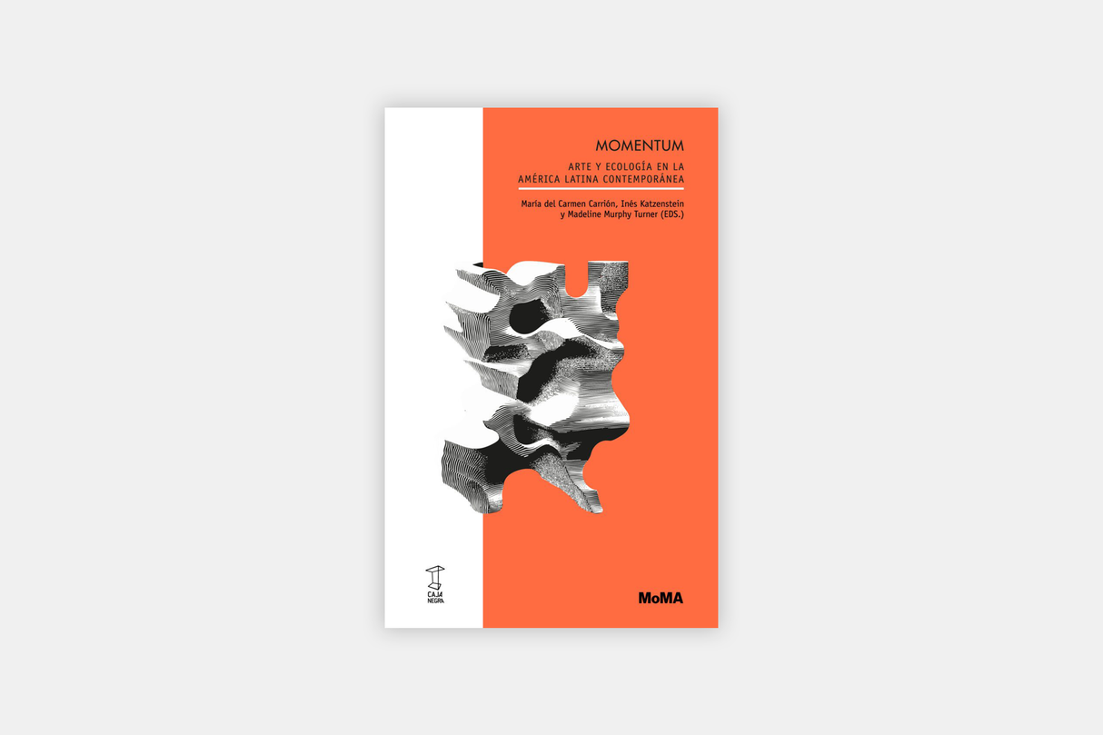 Momentum. Arte y ecología en la América Latina contemporánea
