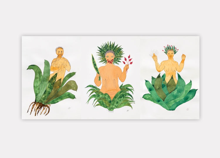 Postal: Nascituras (2023) + Senhora das plantas (2022)