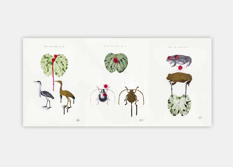 Postal: Pata-de-vaca N°3, N°5 y N°15