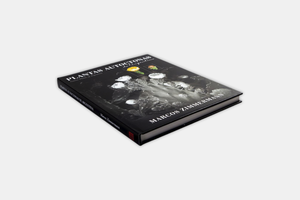 Plantas autóctonas de Argentina