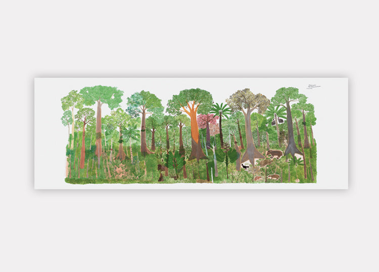 Postal: Ecosistema cuenca amazónica II (2014)