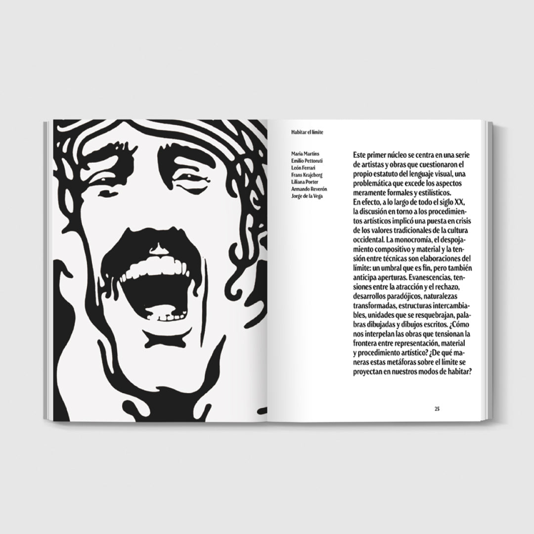 Tercer ojo: The Costantini Collection in Malba | English Guide