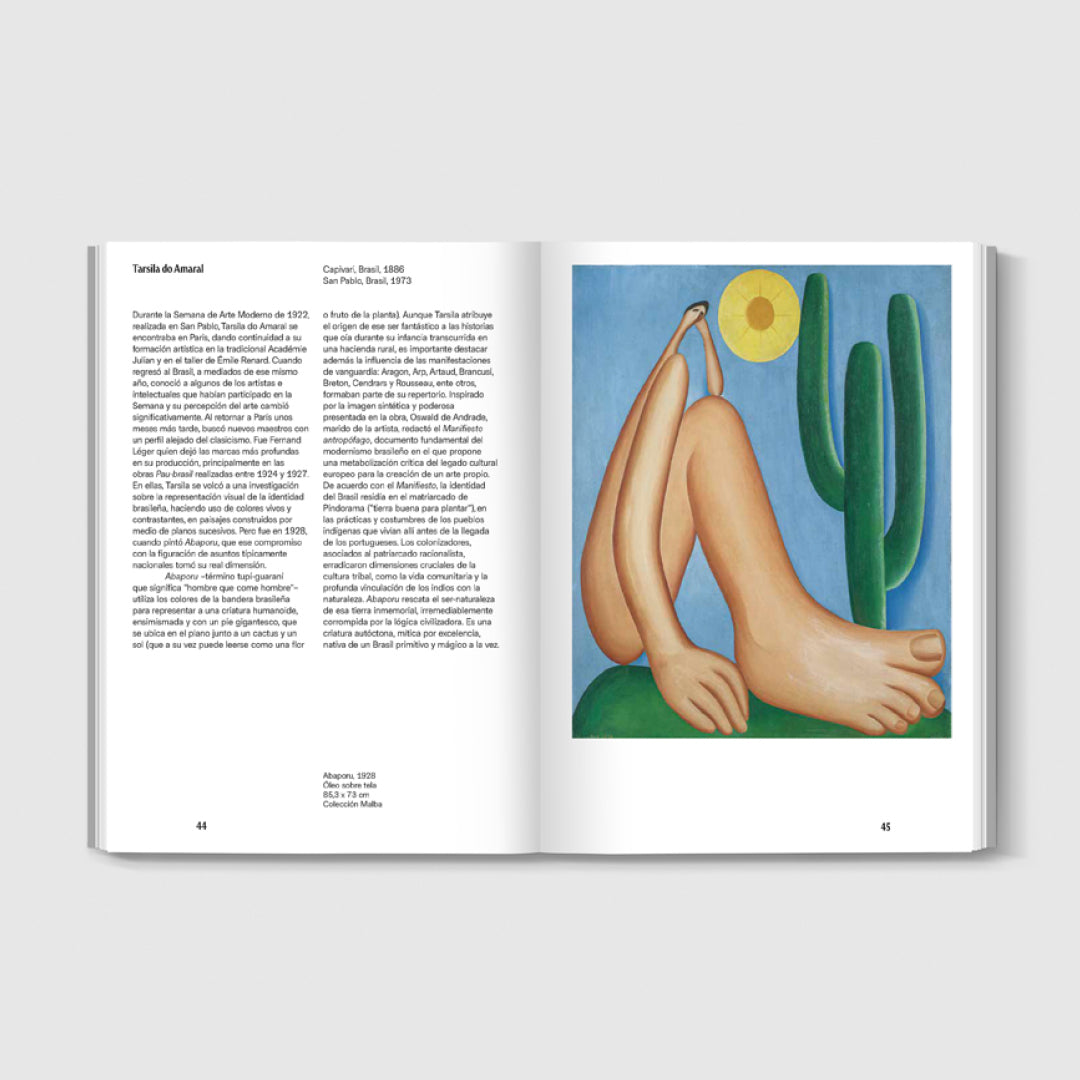 Tercer ojo: The Costantini Collection in Malba | English Guide
