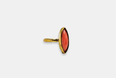 Anillo Coral