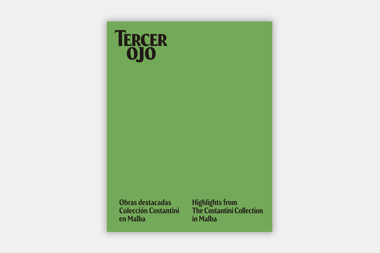 Tercer ojo: Obras destacadas — Colección Costantini en Malba