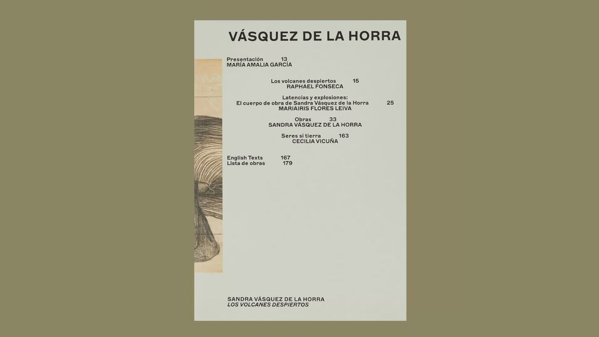 Sandra Vásquez de la Horra. Los volcanes despiertos