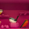 Aves para armar de Guardabosques en Tienda Malba