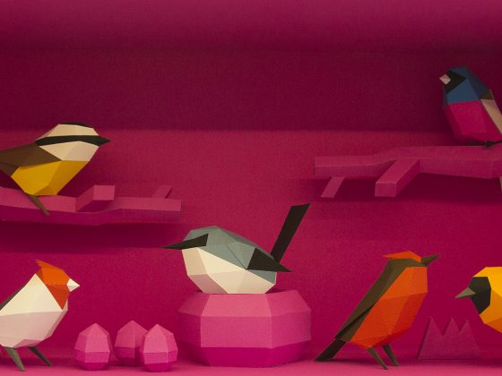 Aves para armar de Guardabosques
