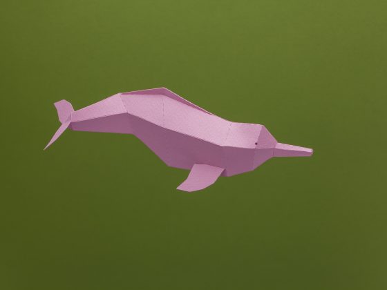 Delfin para armar de Guardabosques